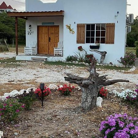 Azteca Villas 트레저 비치 외부 사진